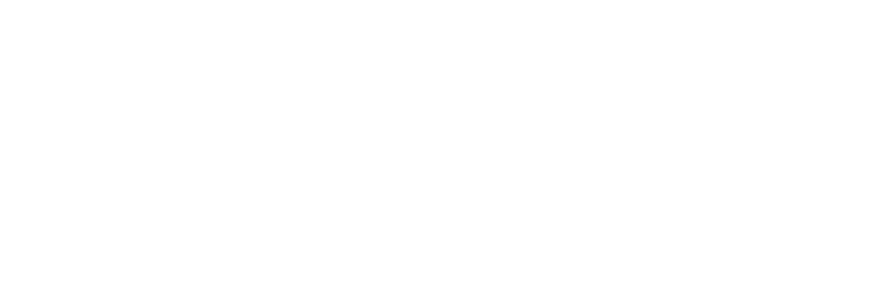 BUSINESS INTRODUCTION